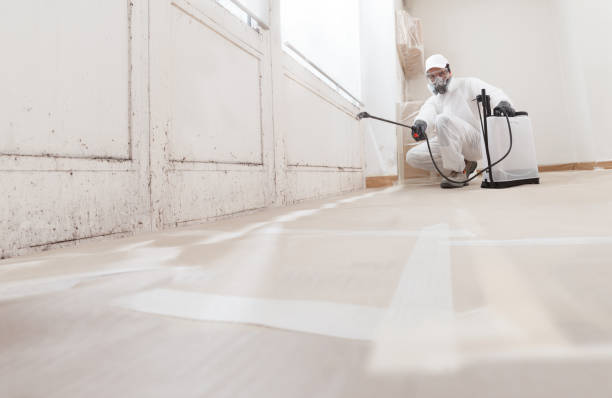 24/7 Emergency Mold Remediation experts in District Heights, MD